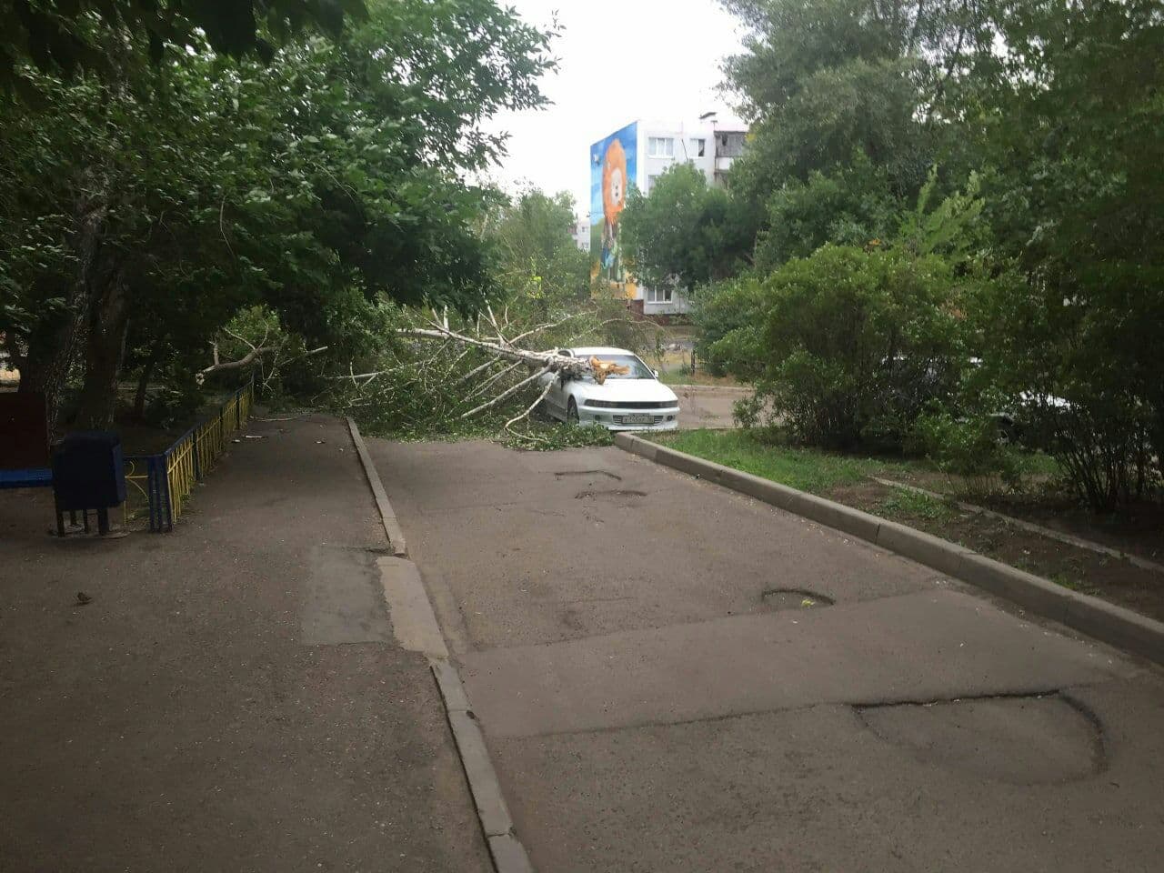 ТГК Lysenok