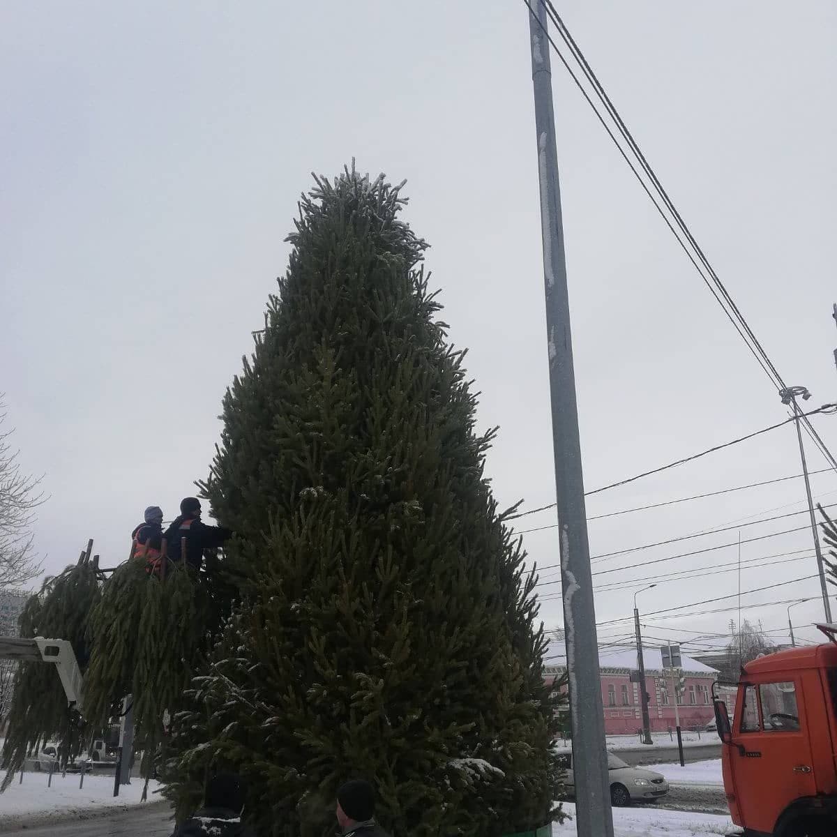 Установка новогодних елок в Оренбурге