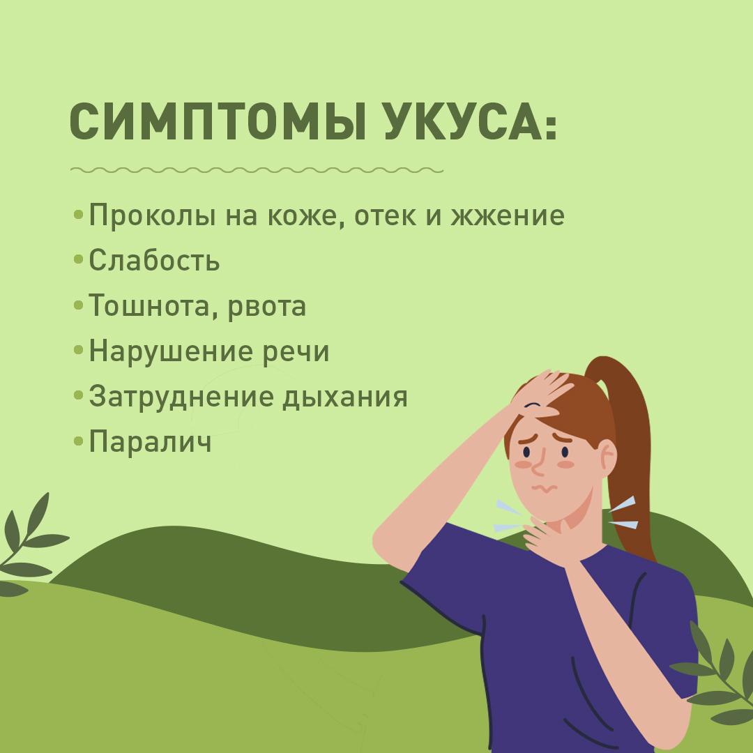 В Оренбургской области есть случаи укуса гадюк