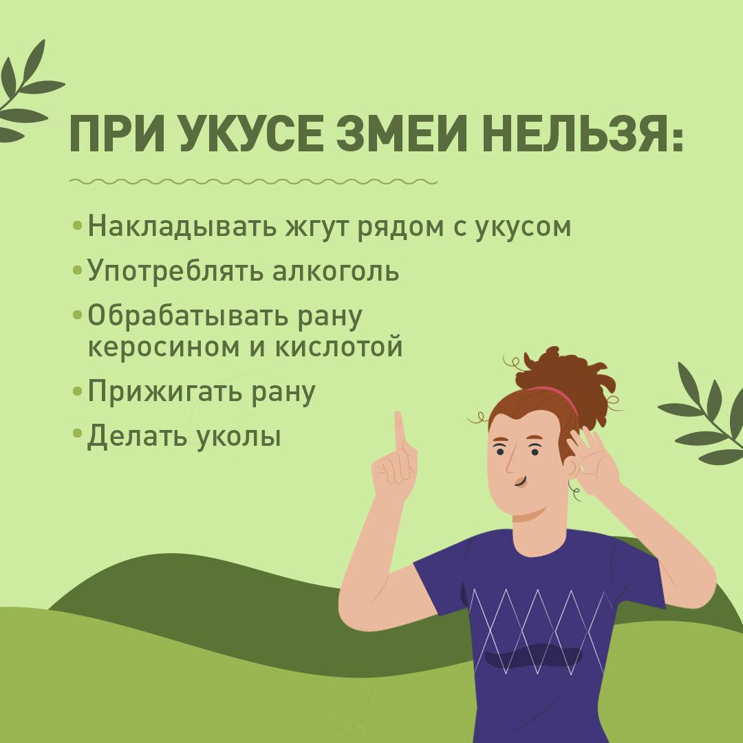 В Оренбургской области есть случаи укуса гадюк