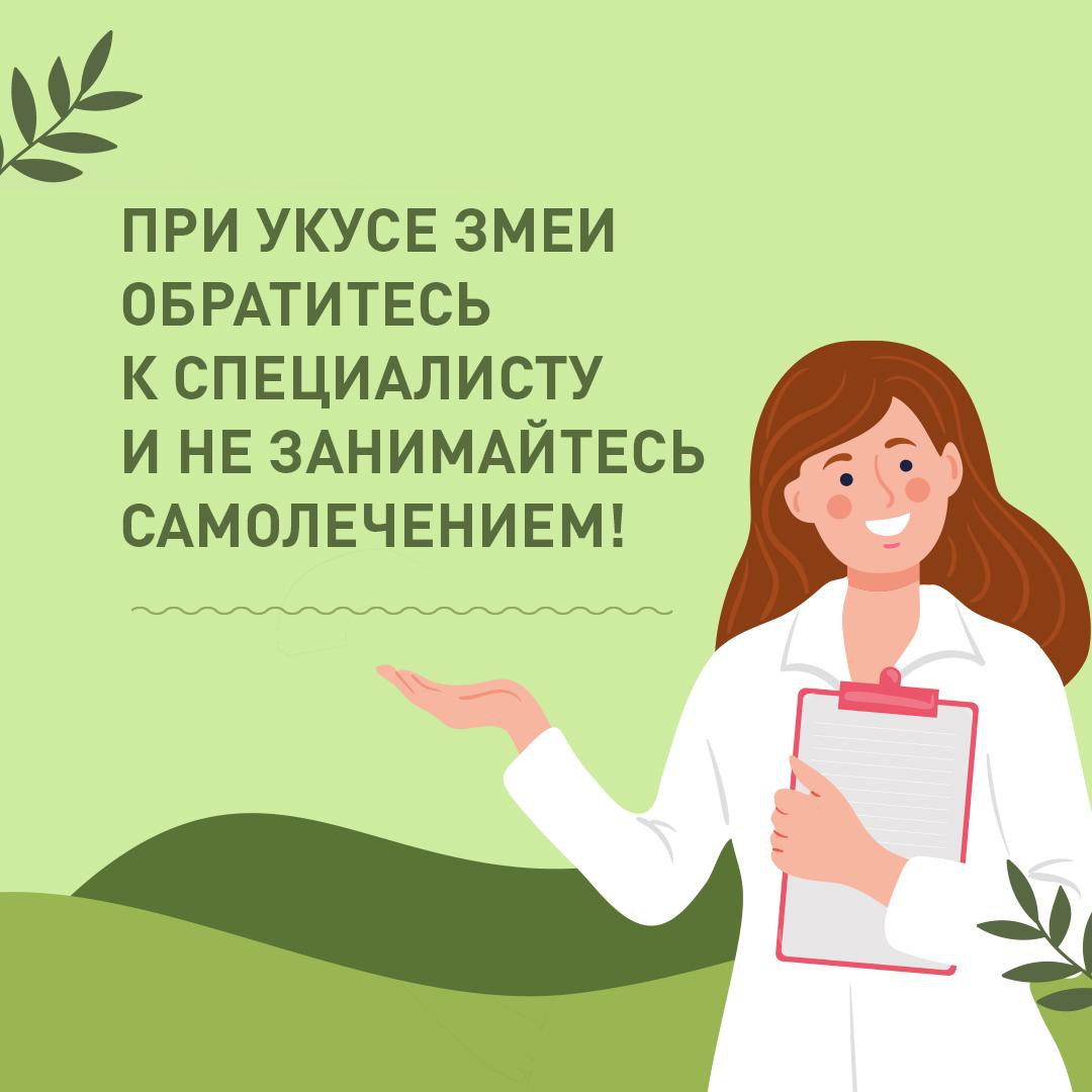 В Оренбургской области есть случаи укуса гадюк