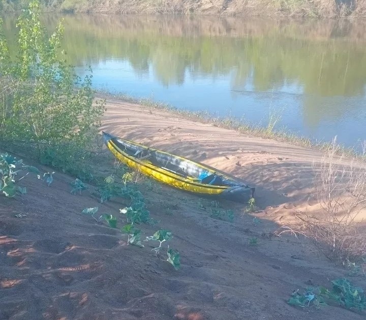 Нарушители в «Бузулукском бору» получают штрафы