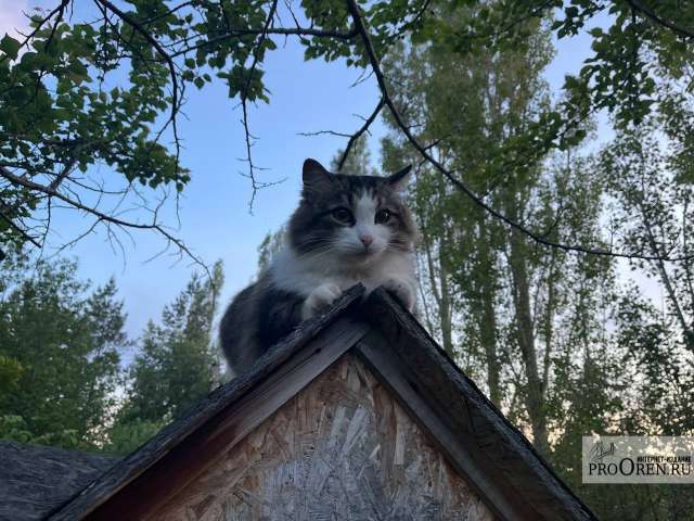 В Оренбуржье в ближайшие дни прогнозируются заморозки