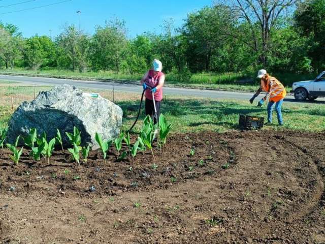 Клумбы Оренбурга продолжают оформлять цветами 