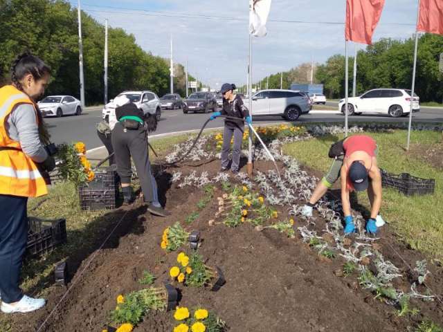Мойка, покос, посадка: коммунальные службы приводят Оренбург в порядок