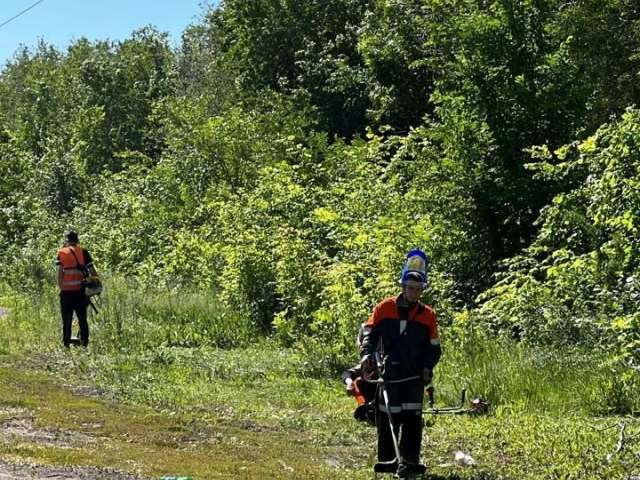 В Оренбурге продолжают бороться с сорняками
