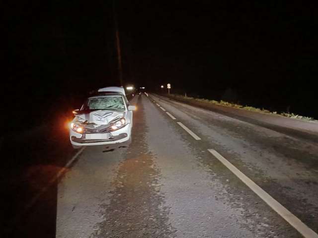 В Новоорском районе под колесами авто погиб мужчина