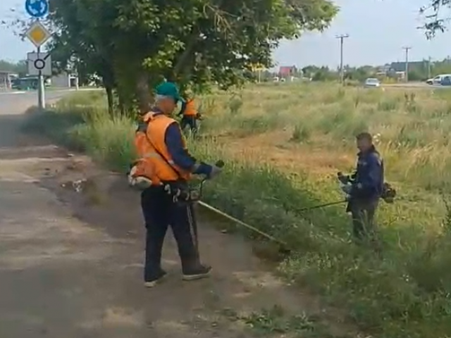 В Оренбурге продолжается покос сорняков и посадка цветов