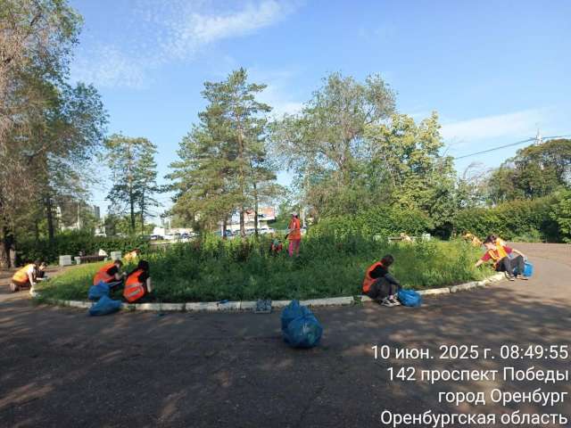 Покос травы и посадка цветов: коммунальщики наводят порядок во всех районах Оренбурга 
