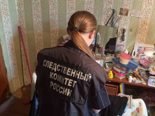 В Саракташском районе арестована женщина, обвиняемая в убийстве матери ломом