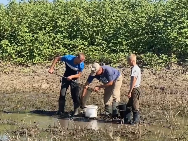 В Оренбуржье спасают молодь рыбы из пересыхающих водоемов 