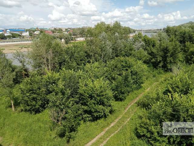 Сегодня в Оренбурге до +29°C. Облачно и без осадков