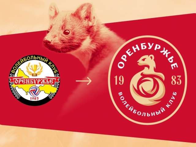 Куница стала новым символом волейбольной команды «Оренбуржье»