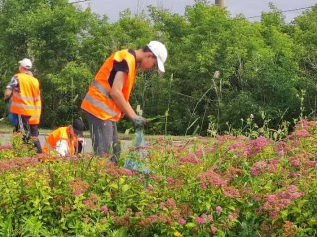 С начала года в Оренбуржье нашли работу почти 3 тысячи подростков 