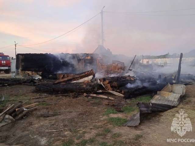 На пожаре в Илекском районе погибли 5 человек