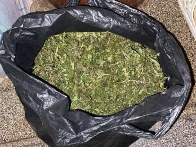 В Бугуруслане полицейские изъяли у женщины крупную партию марихуаны
