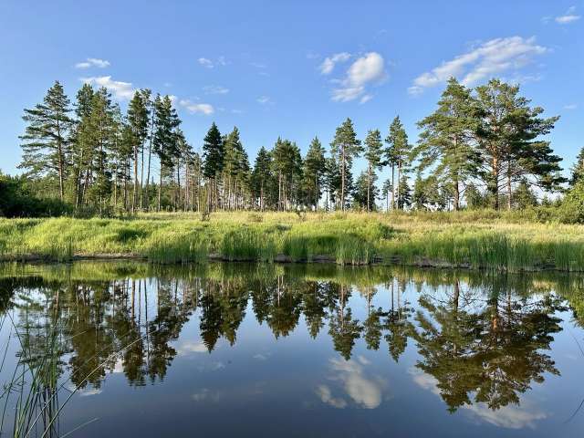 В нацпарке «Бузулукский бор» усилят меры по защите лесов от пожаров