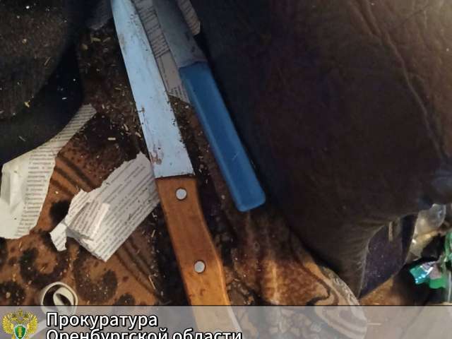 Житель Ташлинского района предстанет перед судом за убийство брата