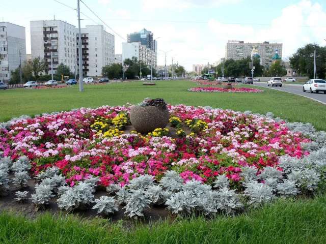 В этом году на клумбах Оренбурга высажено 350 тысяч цветочных корней