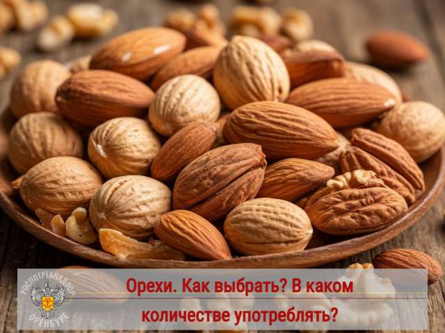 Роспотребнадзор Оренбуржья рассказал о пользе и правилах выбора орехов