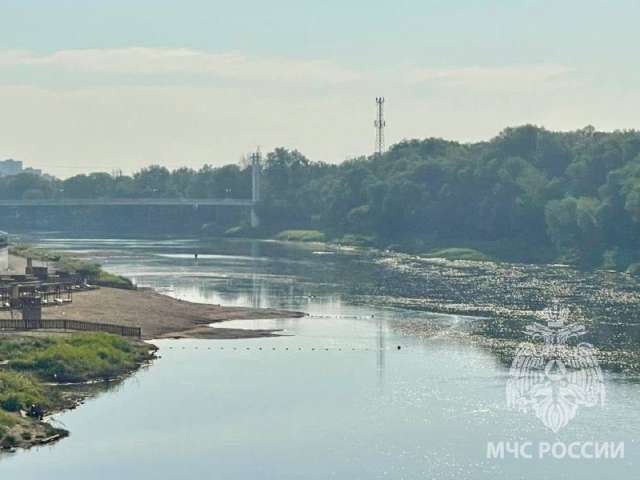 В Оренбурге у автомобильного моста обнаружили тело утонувшего мужчины 