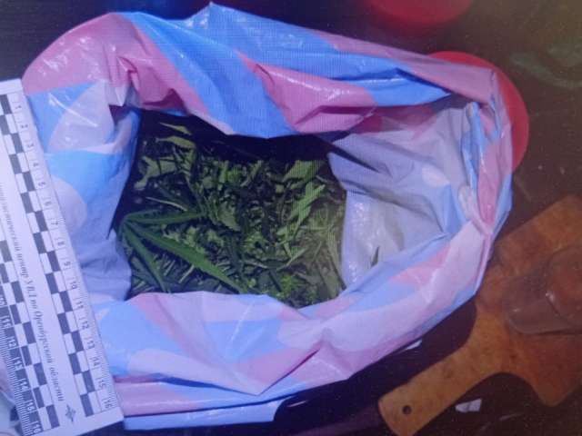 Полицейские Домбаровского района изъяли у мужчины 175 граммов марихуаны