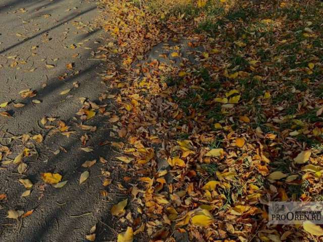 В Оренбургской области вновь ожидаются заморозки до -2 градусов 