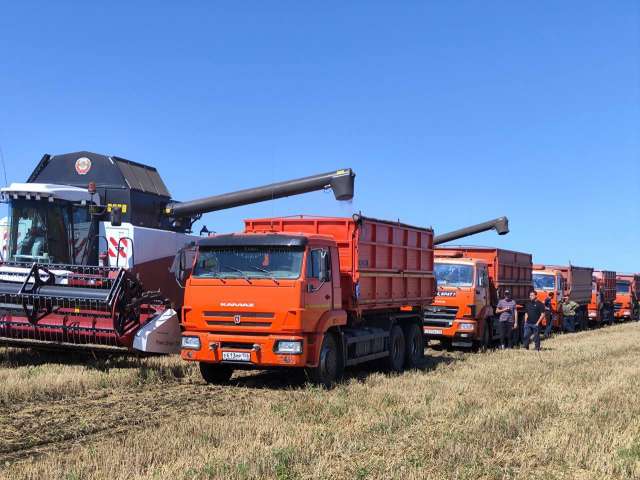 В Оренбуржье за сезон собрали более 3 млн тонн зерна