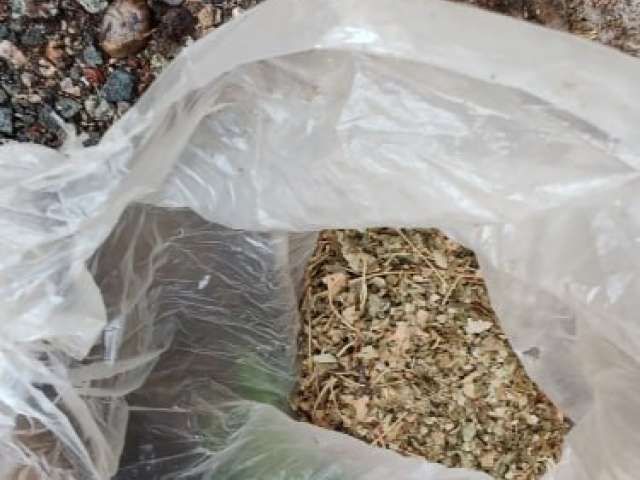 Житель Шарлыка задержан за хранение крупной партии конопли