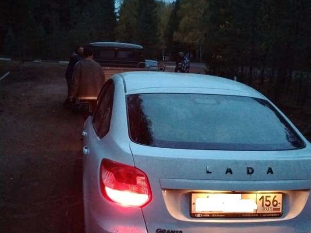 В Бузулукском бору на выходных искали заблудившегося грибника 