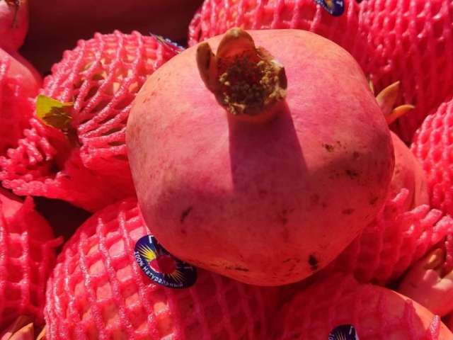 Опасные фрукты и овощи: откуда в Оренбуржье завозят зараженную продукцию