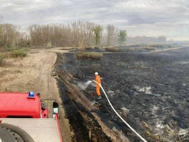 На границе Бузулукского бора горела сухая трава