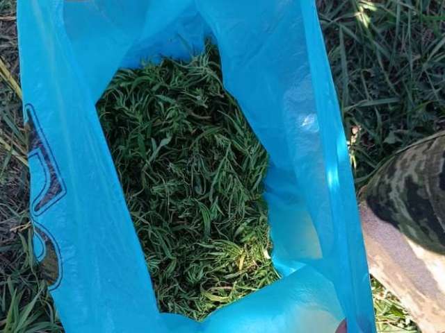 В Оренбуржье у жителя Самарской области изъяли 46 граммов марихуаны