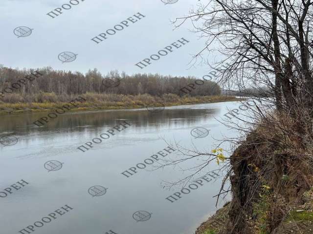 Сегодня в Оренбурге облачно и без осадков