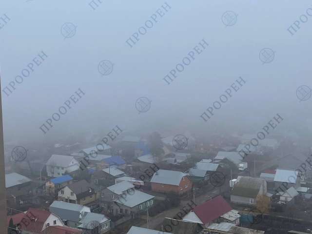 В ближайшие сутки в Оренбуржье ожидается туман 