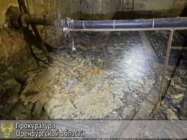 В Оренбурге оштрафовали руководителя УК за канализационные воды в подвале