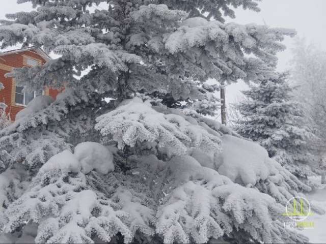 В Оренбурге сегодня до -9°С