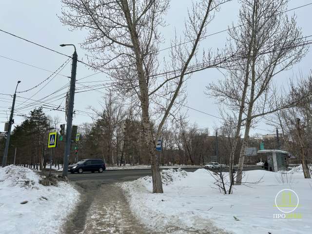 Завтра в Оренбурге до -2°С. Снег и гололедица