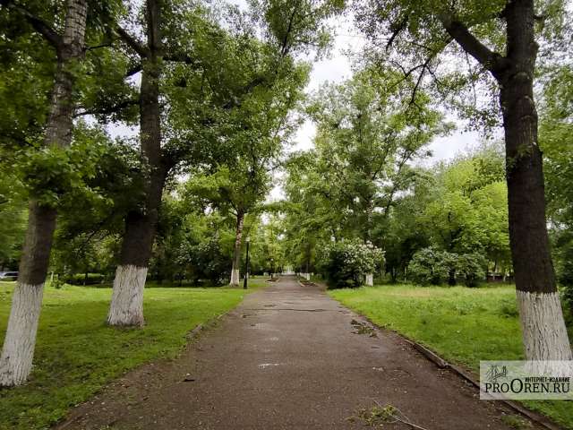 Сегодня днем в Оренбуржье будет ветрено и дождливо