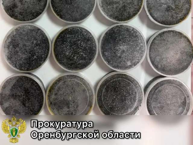 Житель Оренбуржья оштрафован на 250 тысяч рублей за намерение вывезти из страны 10 кг черной икры