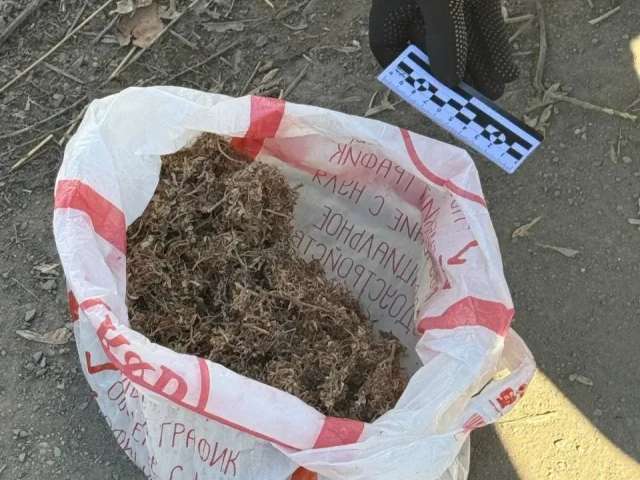 Орские полицейские задержали мужчину с пакетом конопли