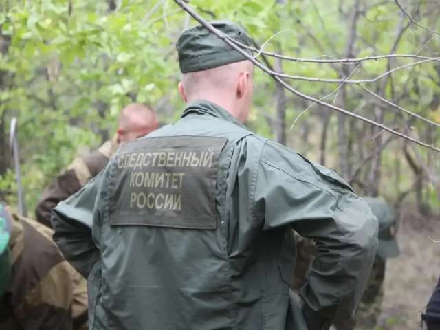  Двое погибших на пожаре в Сорочинском округе — следователи начали проверку