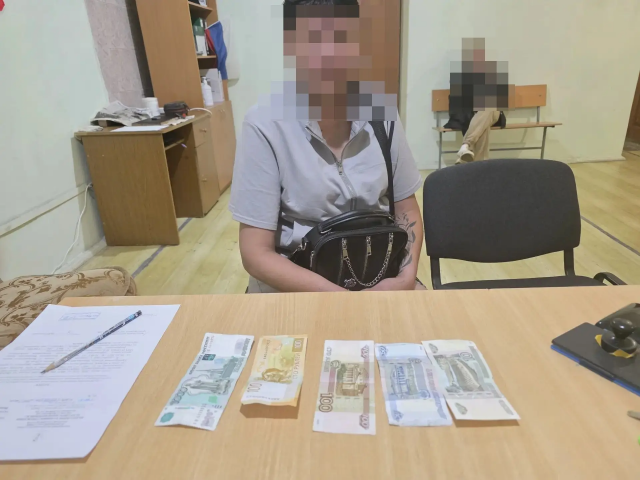Жительница Новоорского района ограбила магазин и напала на продавца