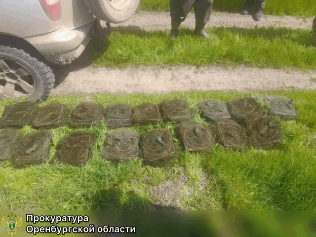 Браконьер из Илекского района оштрафован на 300 тысяч рублей и лишен лодки и снастей