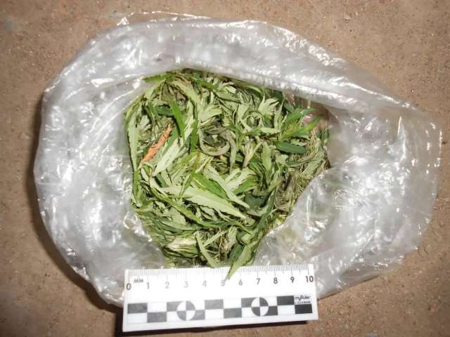 В Бузулуке у 32-летнего мужчины изъяли 22 грамма марихуаны