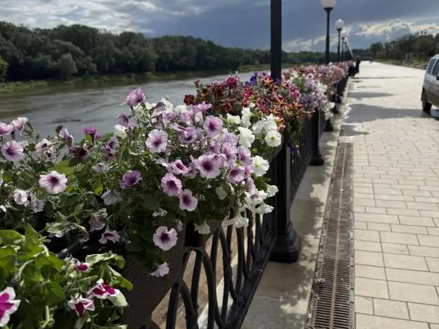На набережной Оренбурга появится 2400 кашпо с цветами