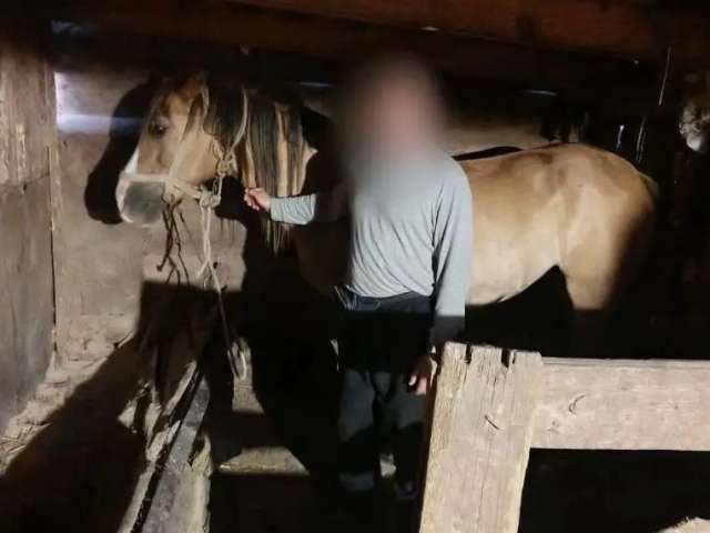 Оренбургские полицейские задержали конокрада