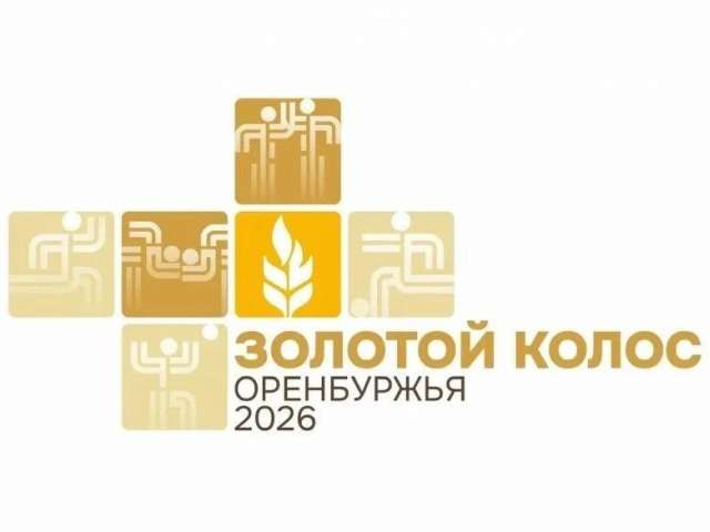 За медали и звание сильнейших: Оренбуржье готовится к финалу сельских спортивных игр