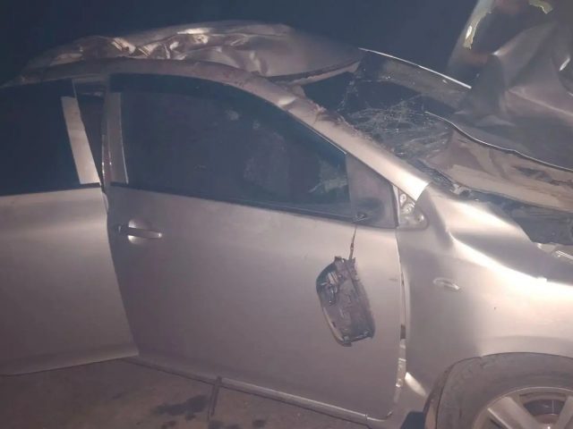 В Первомайском районе автоледи получила травмы после наезда на лошадь