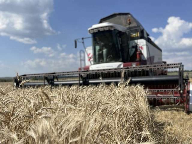 От Китая до Ирана: продукцию оренбургских аграриев поставляют более чем в 20 стран